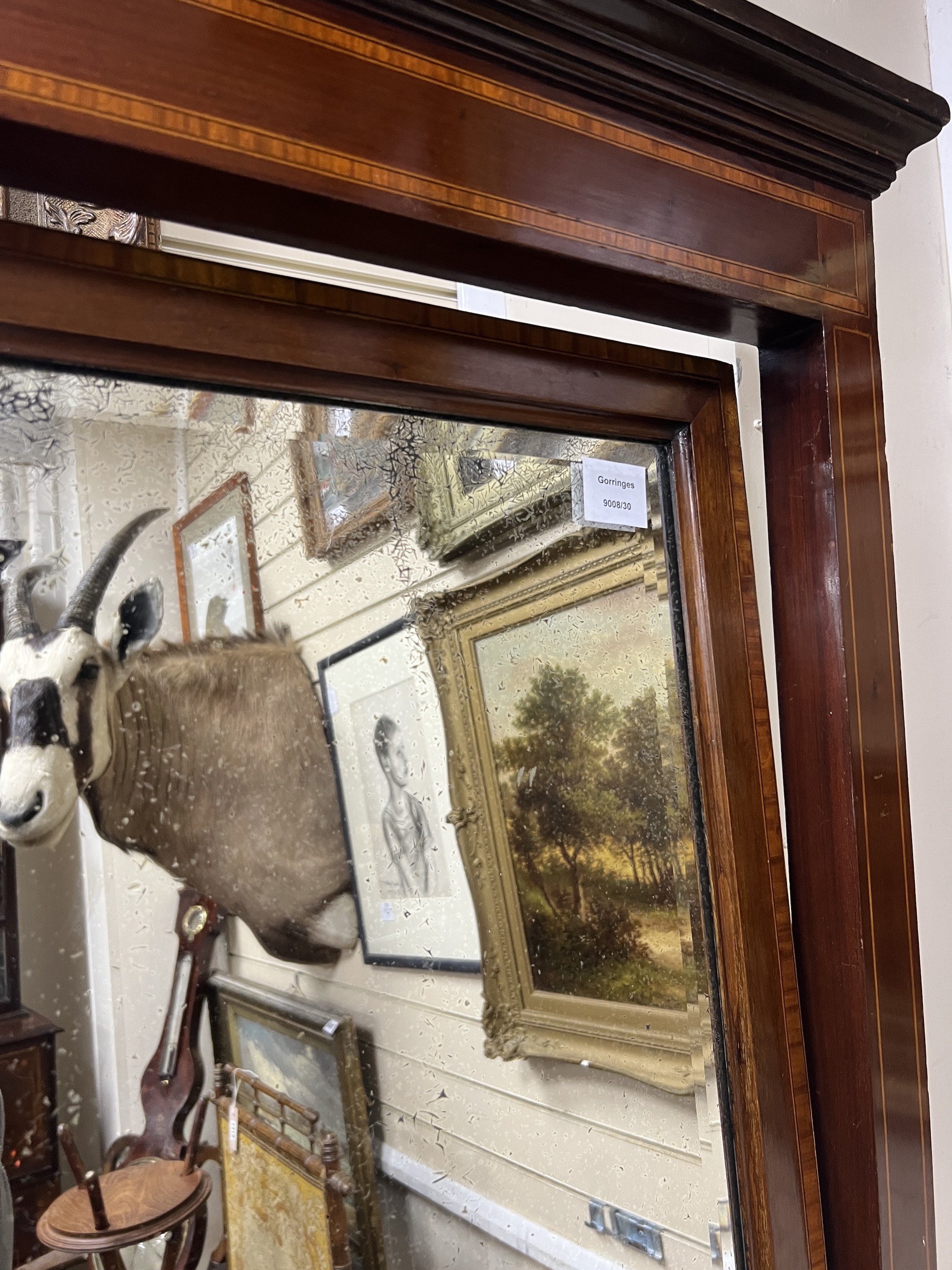 An Edwardian satinwood banded mahogany cheval mirror, width 69cm, height 188cm